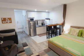 BRAND NEW Entire Place in CENTER of ZEMUN